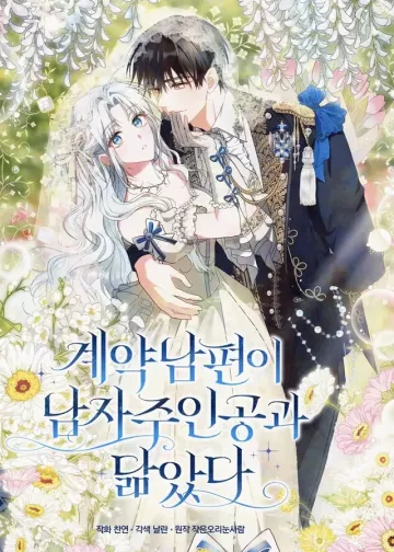 My Contract Husband Looks Like the Male Lead cover