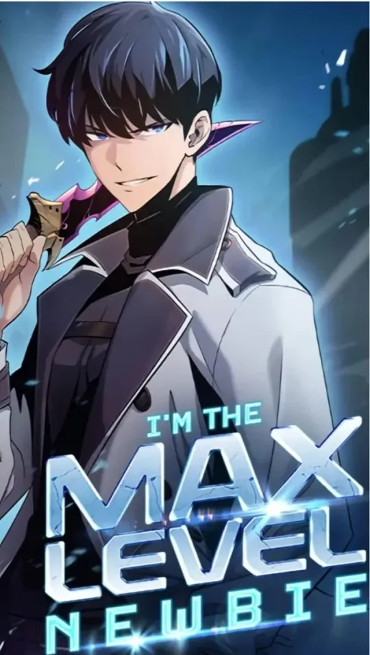I'm the Max-Level Newbie cover